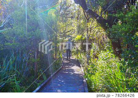 Tramping 78266426