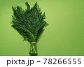 bunch fresh green dill isolated on green background 78266555