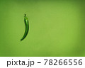 green monochrome with green pepper on a background 78266556