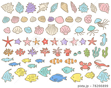 海の生き物の手描き風イラストセットのイラスト素材 7669