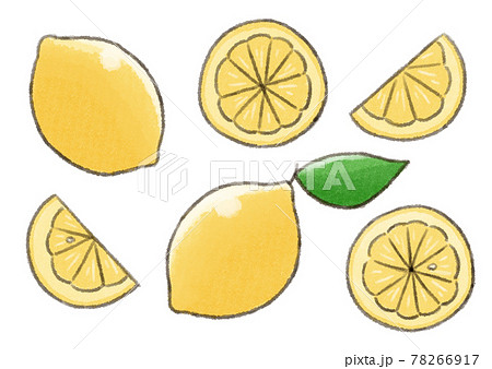 水彩果物 檸檬イラストセットのイラスト素材