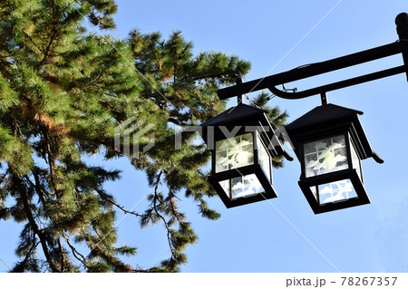 御油の松並木の街灯 御油の松並木の街灯 78267357