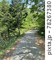 晴れの日の山中の林道 78267380