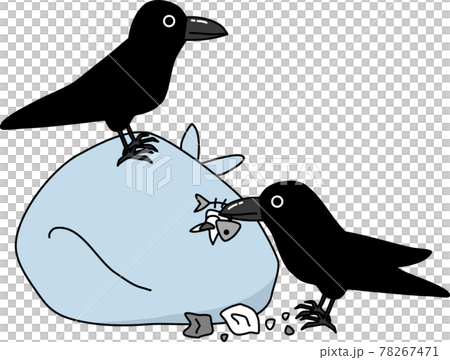 A crow that ruins a garbage bag 78267471