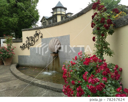 横浜　山手イタリア山庭園の噴水とイタリア館　バラ　斜め横 78267624