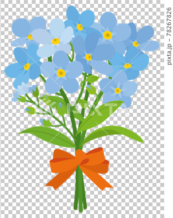 青色の勿忘草の花束 青色の勿忘草の花束 78267826