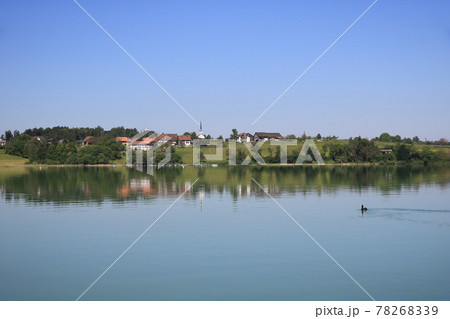Dream like summer morning at the shore of Lake Pfaffikon, Zurich Canton. 78268339