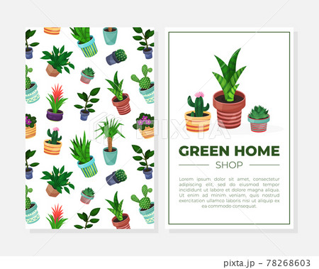Cover Design with Houseplant in Ceramic Pots Growing Indoors Vector Template Cover Design with Houseplant in Ceramic Pots Growing Indoors Vector Template 78268603
