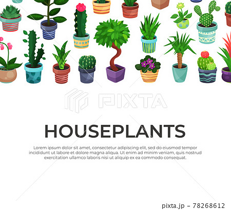 Landing Page with Houseplant in Ceramic Pots Growing Indoors Vector Template 78268612
