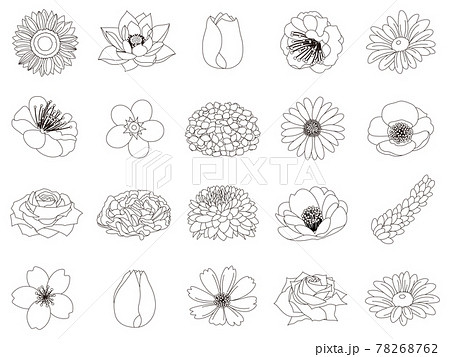다양한 꽃 색 - 스톡일러스트 [78268762] - Pixta