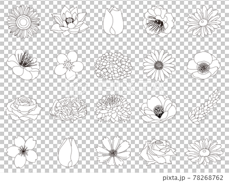 Coloring book of various flowers 78268762