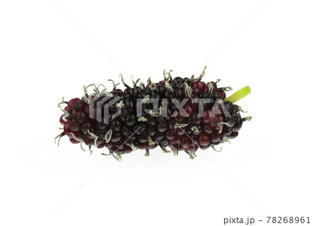 Mulberry berry isolated on the white background. Mulberry berry isolated on the white background. 78268961