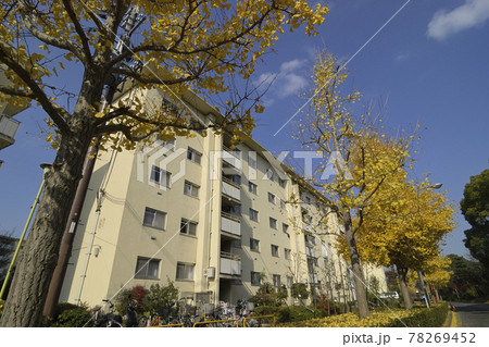 千里ニュータウン新千里東町(大阪府豊中市)の府営新千里東住宅 千里ニュータウン新千里東町(大阪府豊中市)の府営新千里東住宅 78269452