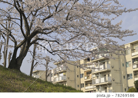 千里ニュータウン新千里東町(大阪府豊中市)の府営新千里東住宅 千里ニュータウン新千里東町(大阪府豊中市)の府営新千里東住宅 78269586