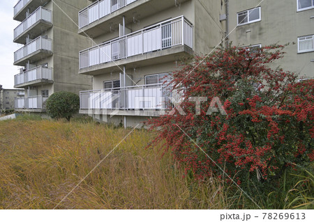 千里ニュータウン新千里東町（大阪府豊中市）の府営新千里東住宅 78269613