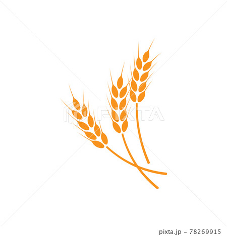 Ears of wheat. Logo. illustration on white isolated background Ears of wheat. Logo. illustration on white isolated background 78269915