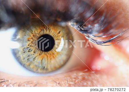 Closeup of beautiful green eye of young girl 78270272
