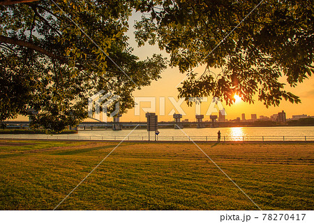 淀川大堰と河川敷公園の夕景 78270417