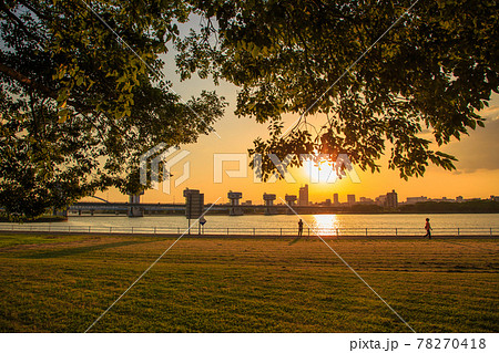 淀川大堰と河川敷公園の夕景 78270418