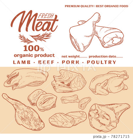 Fresh raw meat engraved design 78271715