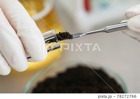Researcher takes study of the soil in laboratory Researcher takes study of the soil in laboratory 78272766