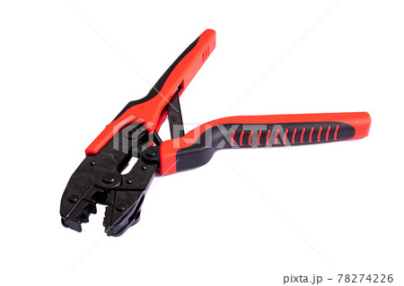 Big stripper isolated on a white background 78274226