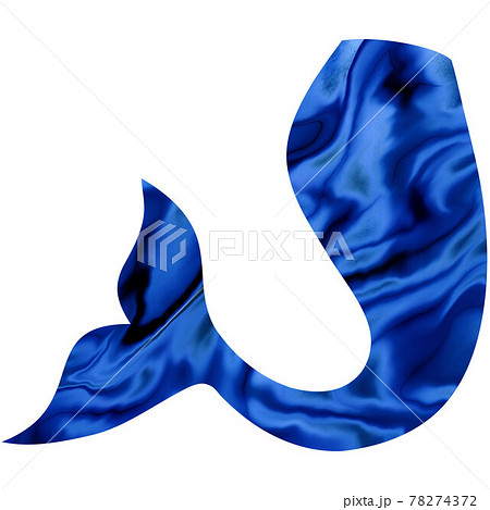 Blue mermaid Tail hand-drawn illustration. Fishtail 78274372
