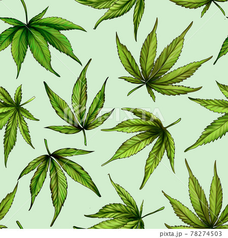 Marijuana seamless pattern. Green hemp leaves 78274503