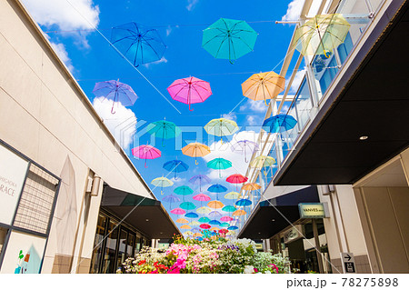 星が丘テラスの傘の花、アンブレラフラワー〈愛知県名古屋市〉 78275898
