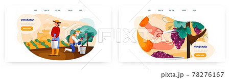 Vineyard landing page design, website banner vector template set. Farmers picking grapes in plantation. Wine production. 78276167