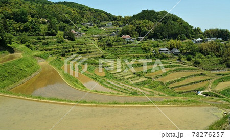 久米郡 北庄の棚田 久米郡 北庄の棚田 78276257