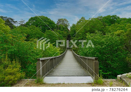 八塔寺ふるさと村のつり橋 八塔寺ふるさと村のつり橋 78276264