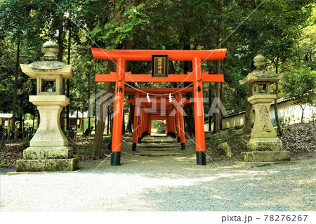 岡山　吉備津彦神社の赤い鳥居 78276267