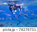 海の中 78276731