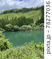 新緑の鮮やかなダム湖畔 78277036