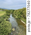 新緑の中を流れる清流錦川 78277040