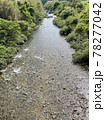 新緑に向かって伸びる錦川 78277042