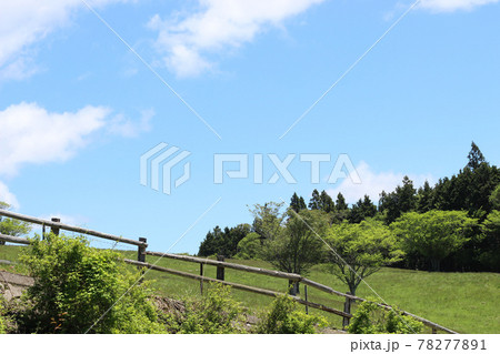 初夏の草原の風景 78277891