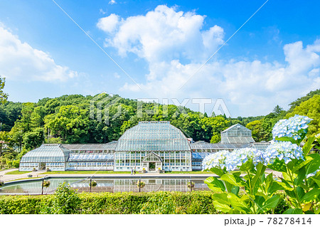 東山植物園にある日本最古の公共温室、温室前館〈愛知県名古屋市〉 78278414