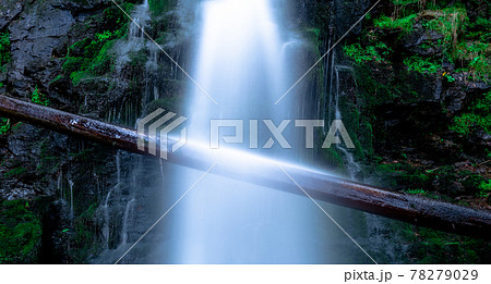 Long exposure of a tree hanging across a waterfall Long exposure of a tree hanging across a waterfall 78279029