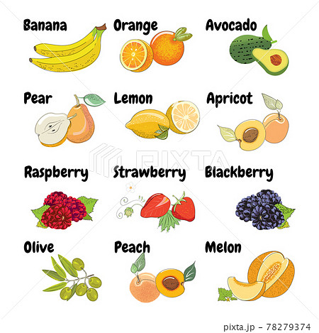 Set of fresh fruits and berries Set of fresh fruits and berries 78279374
