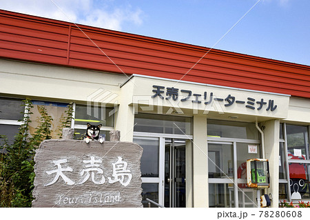 天売フェリーターミナルで記念撮影する黒柴 天売フェリーターミナルで記念撮影する黒柴 78280608