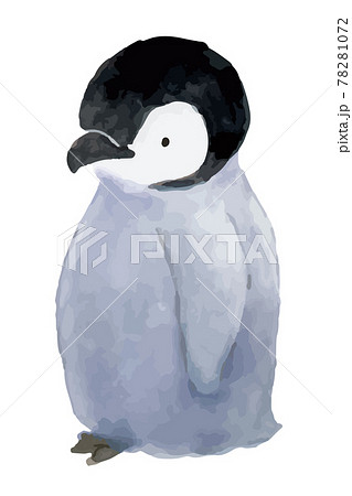 皇帝ペンギンのこども 水彩イラストのイラスト素材