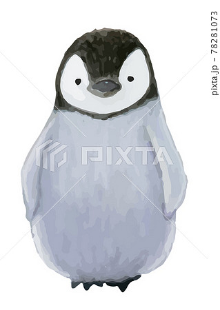 皇帝ペンギンのこども 水彩イラストのイラスト素材