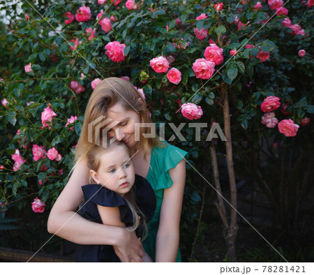 mom hugs her little daughter against the background of a rose bush mom hugs her little daughter against the background of a rose bush 78281421