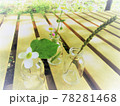 野の草花を小さなガラス瓶に活けて遊ぶ 78281468