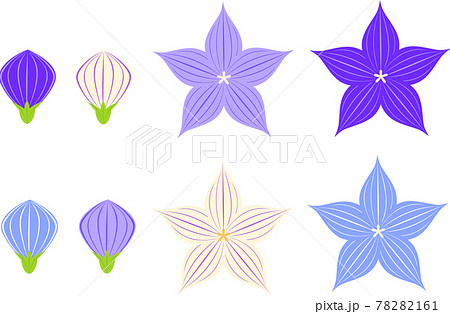 桔梗の花と蕾のイラストアイコンセットのイラスト素材 7161