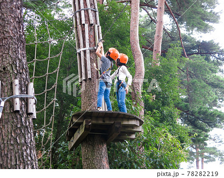木の上のアスレチック 78282219