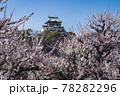 大阪城の梅林 78282296