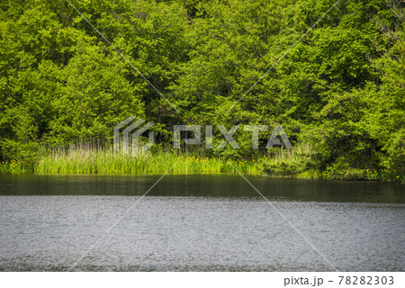 《愛知県》名古屋市　守山区　筧池 78282303
